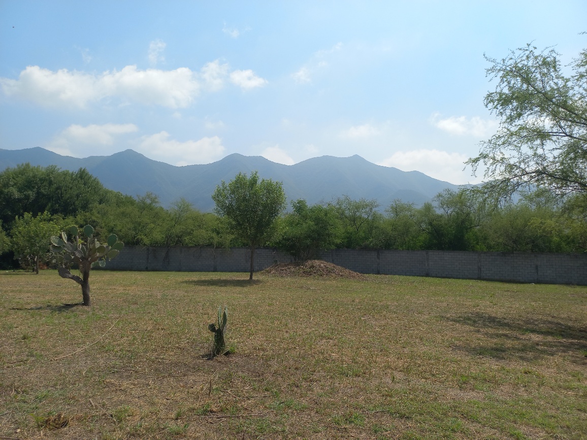 20250723_110123_resized