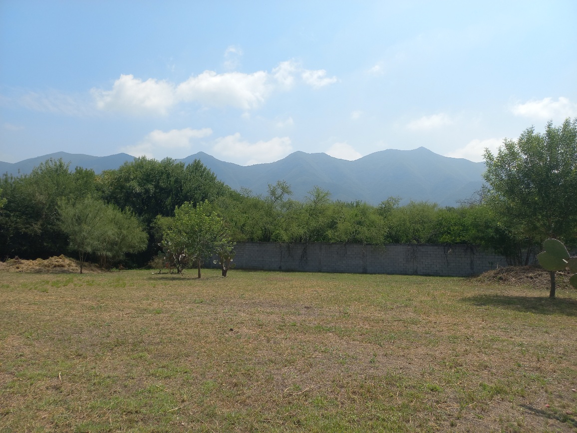 20250723_110138_resized