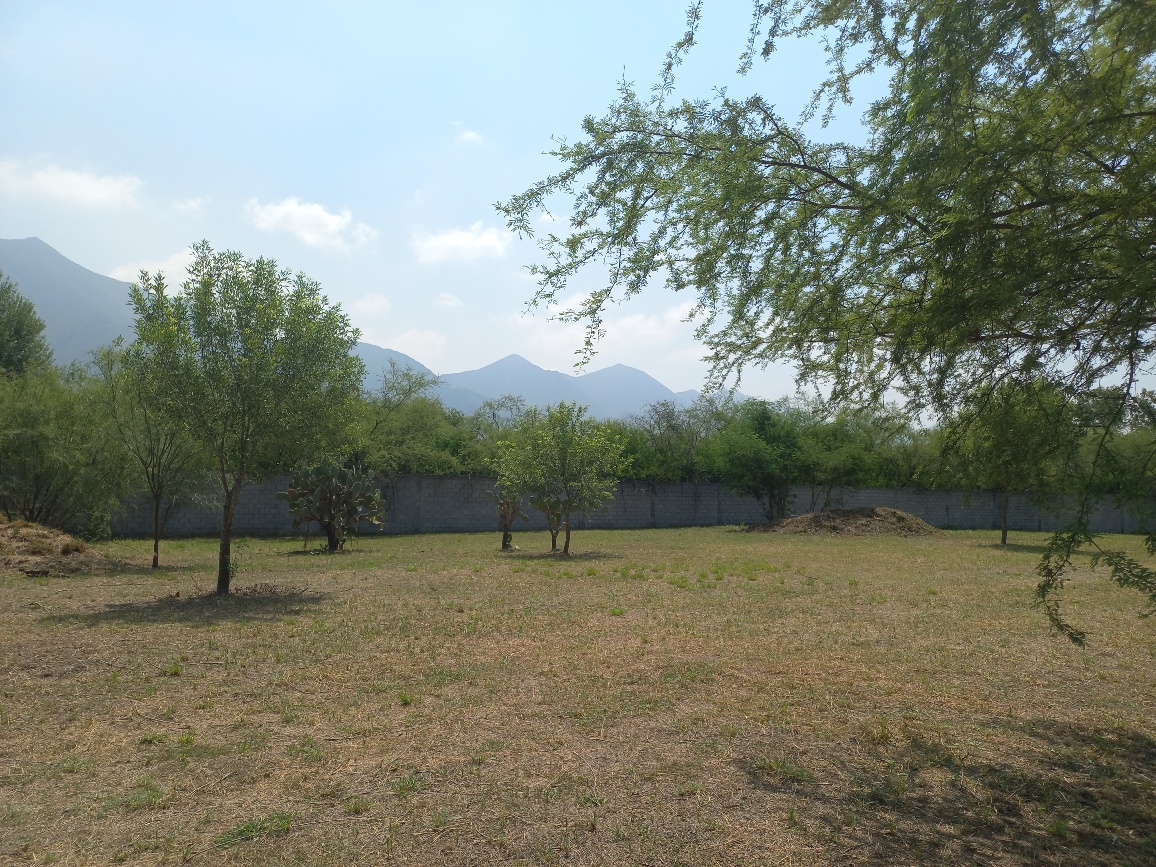 20250723_110210_resized