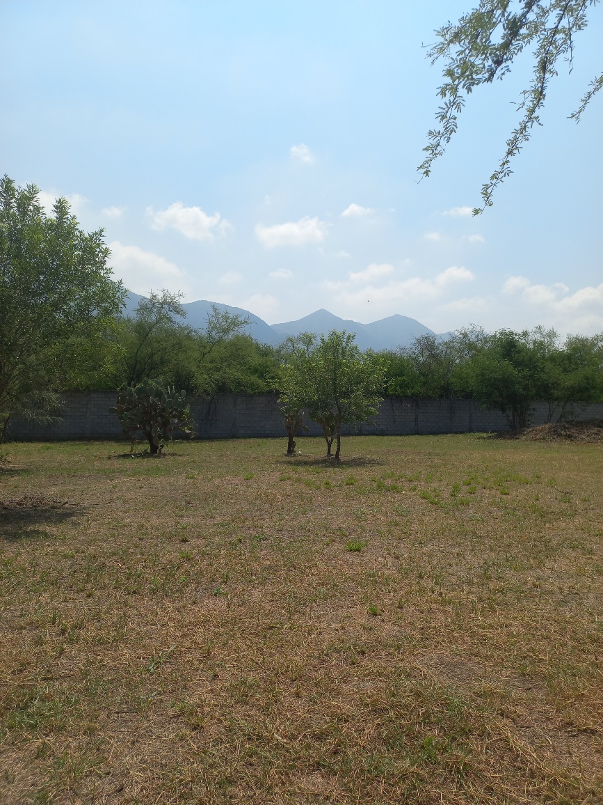 20250723_110226_resized