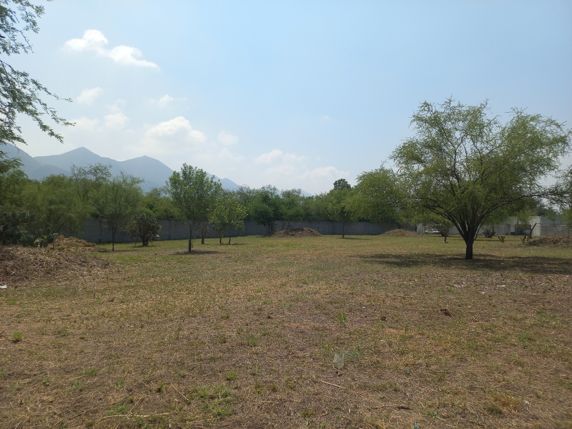 20250723_110519_resized